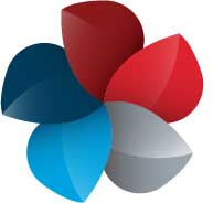 Five petals in shades or red blue and grey forming a abstract petal
